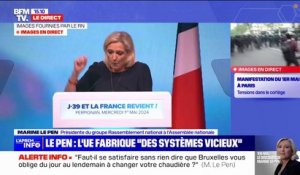 Marine Le Pen: "Notre vision de l'Europe croit au progrès, à la science, pas à la décroissance"