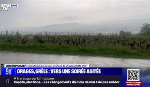 "Les céréales sont très impactées": Le témoignage d'un exploitant agricole en Côte-d'Or dont l'exploitation a été touchée par un orage de grêle