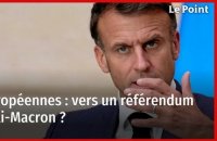 Européennes : vers un référendum anti-Macron ?