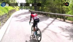 Cyclisme - Mercan'Tour Classic Alpes-Maritimes 2025 - Revivez l'arrivée victorieuse de Cristian Rodriguez... un solo en mode Pogacar !