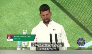 Wimbledon - Djokovic : "Une sale chute"