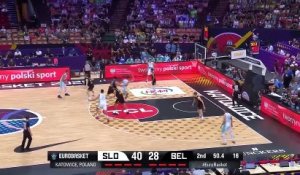 Triple-double pour Doncic avec la Slovénie - Basket - Euro