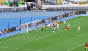 Le résumé de Guinée - Algérie - Foot - Qualif. Coupe du monde