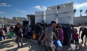 Le premier match historique de la Palestine en Europe