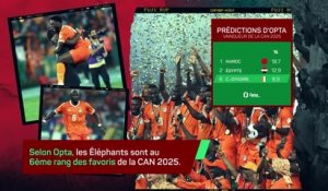 Côte d'Ivoire - Les Éléphants visent le back-to-back