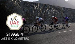 UAE Tour 2026 - Étape 4 - Jonathan Milan remporte la 4e étape devant Vernon... et son frère Matteo