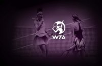 WTA 500 Stuttgart - Finale - Elena Rybakina / Karolina Muchova