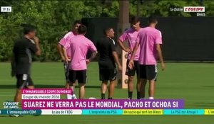 L’Équateur avec Moises Caicedo, Willian Pacho et Piero Hincapié pour la Coupe du monde - Foot - Coupe du monde - Équateur