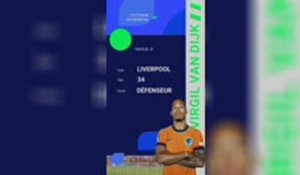 Stars du mondial - Virgil van Dijk