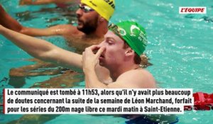 Blessé à l'adducteur droit, Léon Marchand est forfait pour la fin des Championnats de France - Natation - Championnats de France
