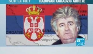 Les avis sur Karadzic fusent sur le Net