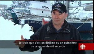 Téléjournal - Sur les traces de l'Exxon Valdez