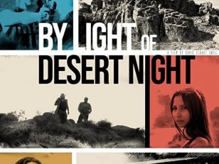 By Light of Desert Night