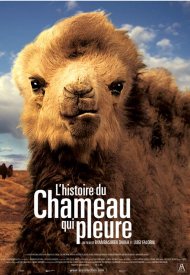 Affiche de L'Histoire du chameau qui pleure