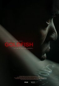Affiche de Goldfish