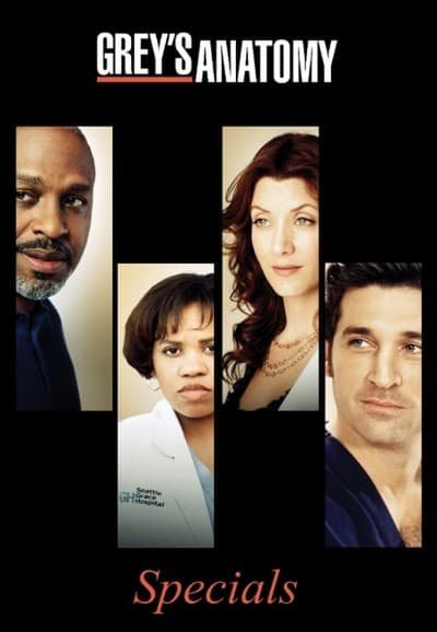 Grey's Anatomy - Saison 0