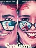 Separate vacations : Affiche