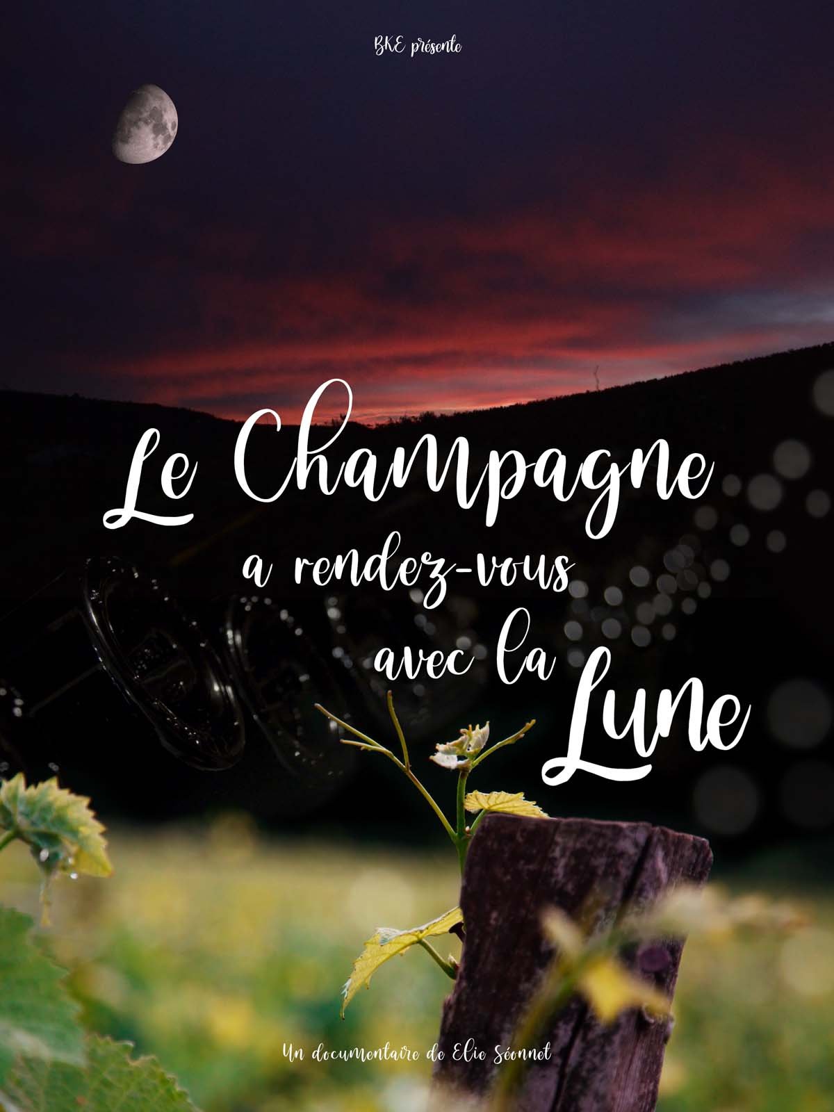 Le Champagne a rendez-vous avec la Lune : Affiche