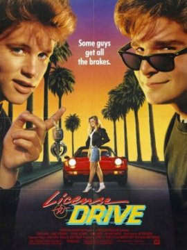 License to drive
