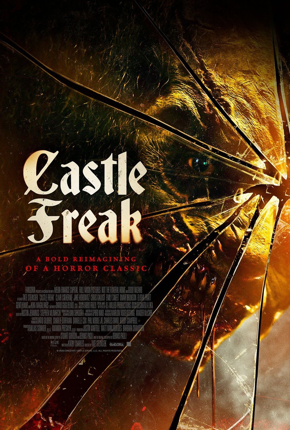 Castle Freak : Affiche