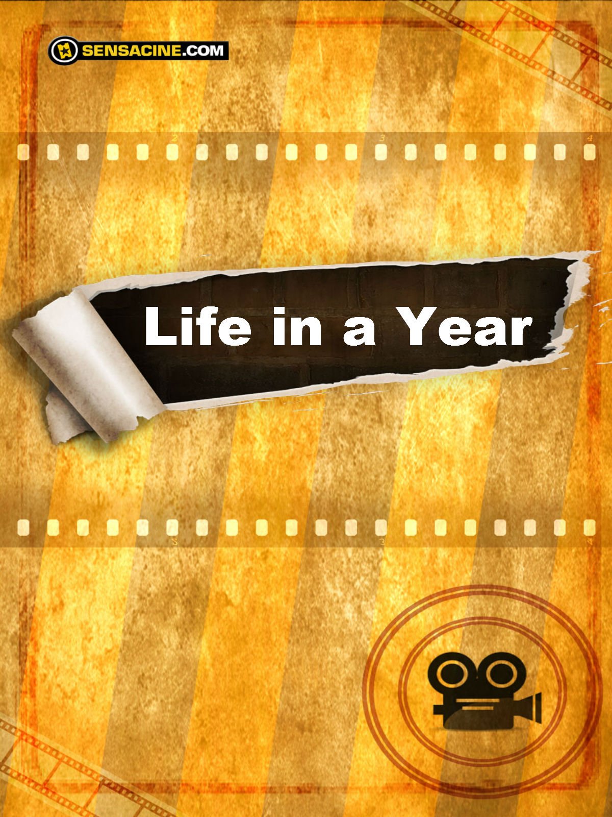 Life in a Year : Affiche