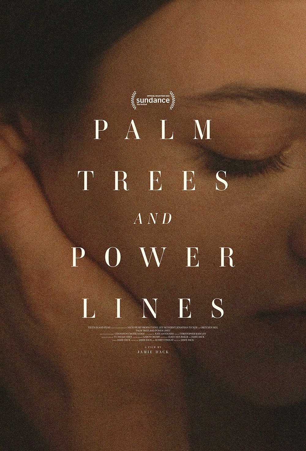 Palm Trees and Power Lines : Affiche