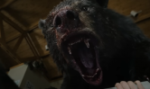Ce film sur un ours sous coke s'annonce comme le plus gros délire de 2023 (et c'est presque une histoire vraie)