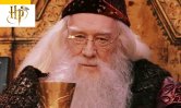 Harry Potter Vs Le Seigneur des Anneaux : cet acteur a hésité entre les deux sagas