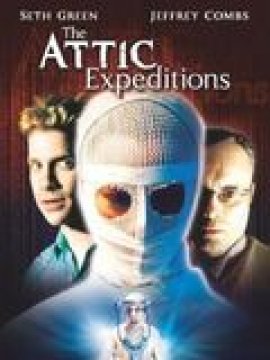 Attic expeditions