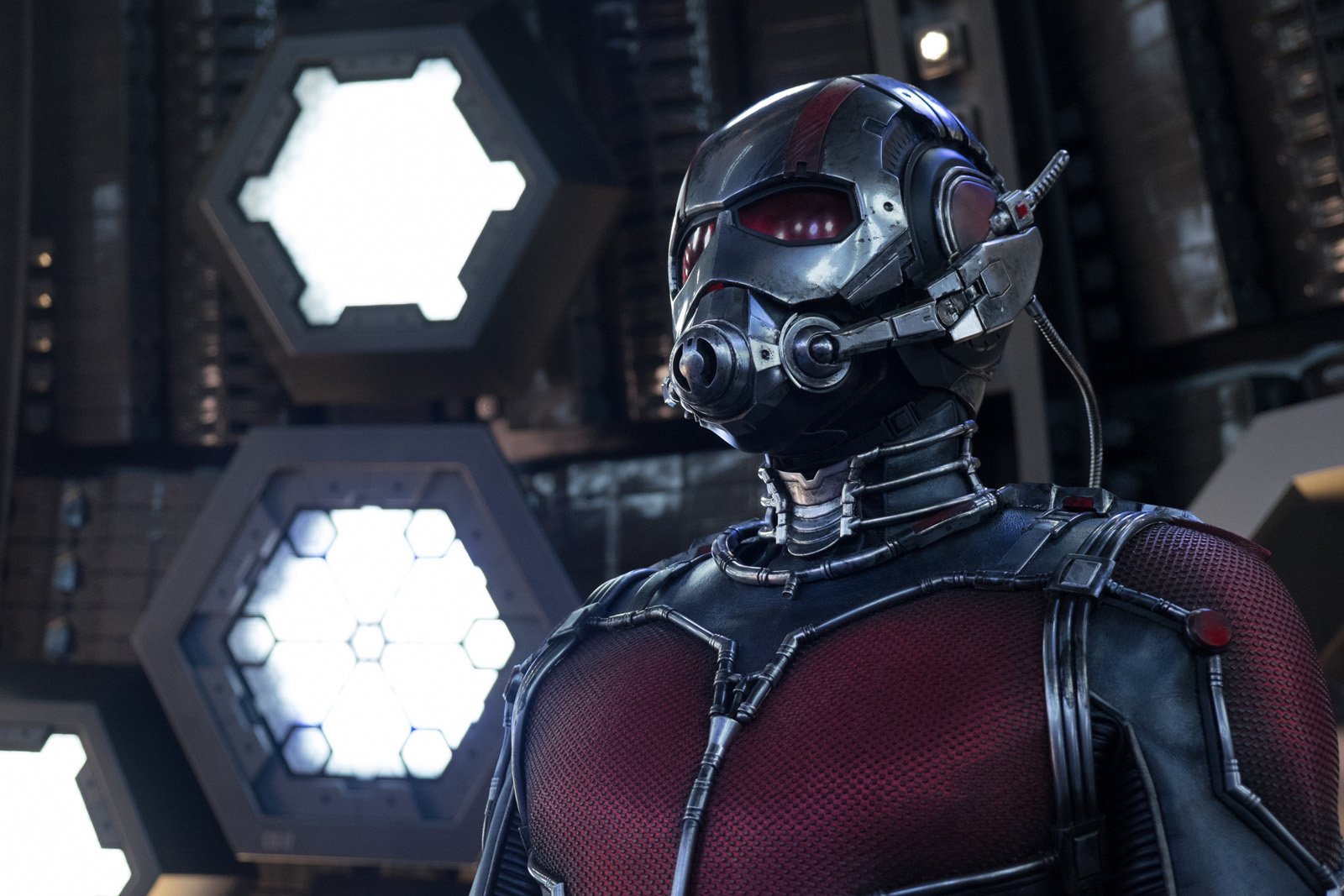 Paul Rudd dans son costume d'Ant-Man.