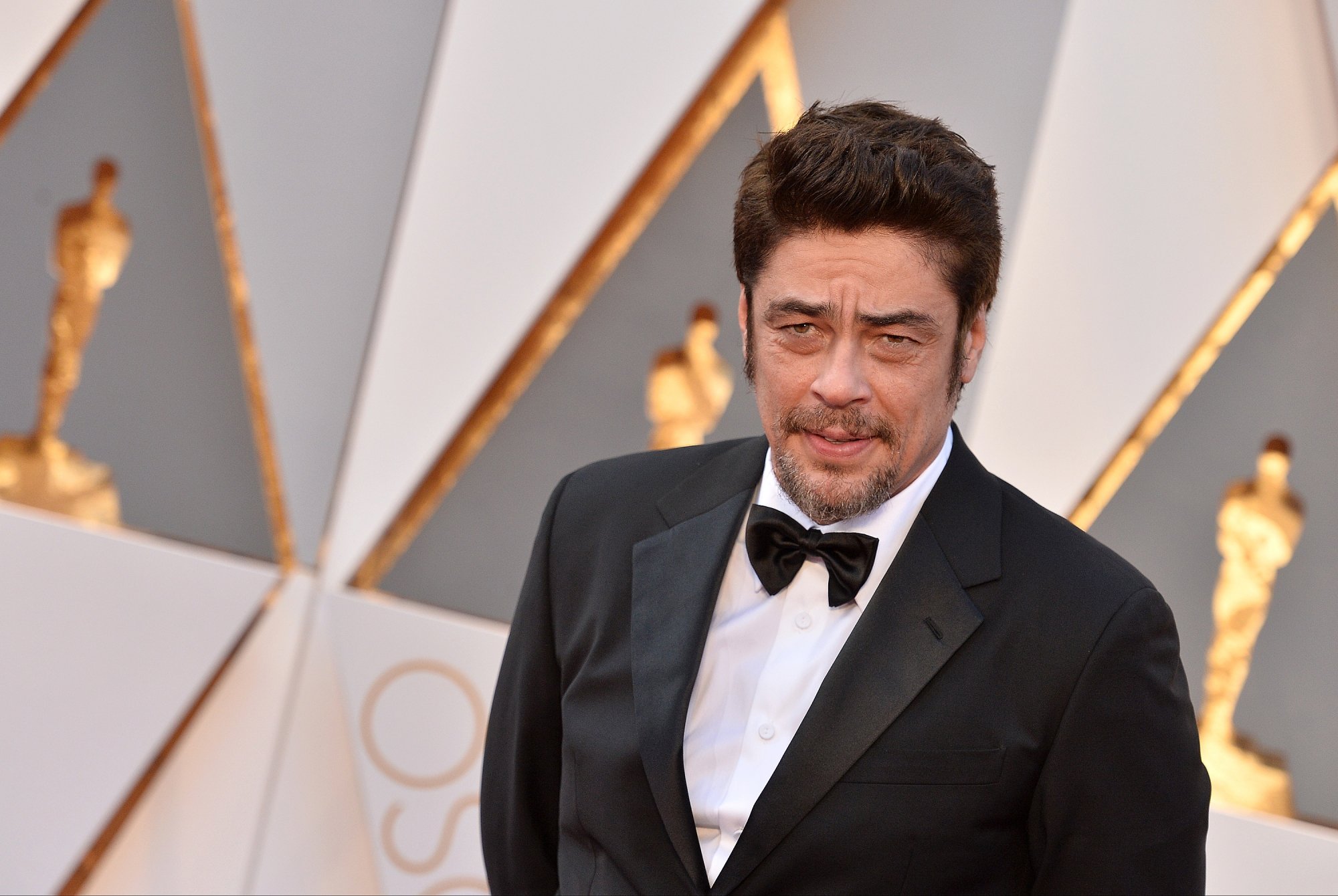 Benicio Del Toro sur le tapis rouge de la cérémonie des Oscars 2016.