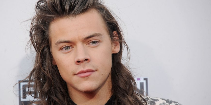 Harry Styles sur le tapis rouge des American Music Awards à Los Angeles, en novembre 2015.