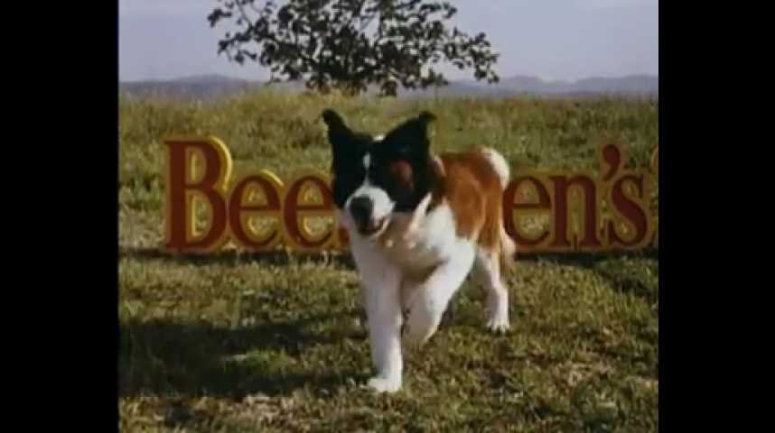 Beethoven 2 - Bande annonce 1 - VO - (1993)