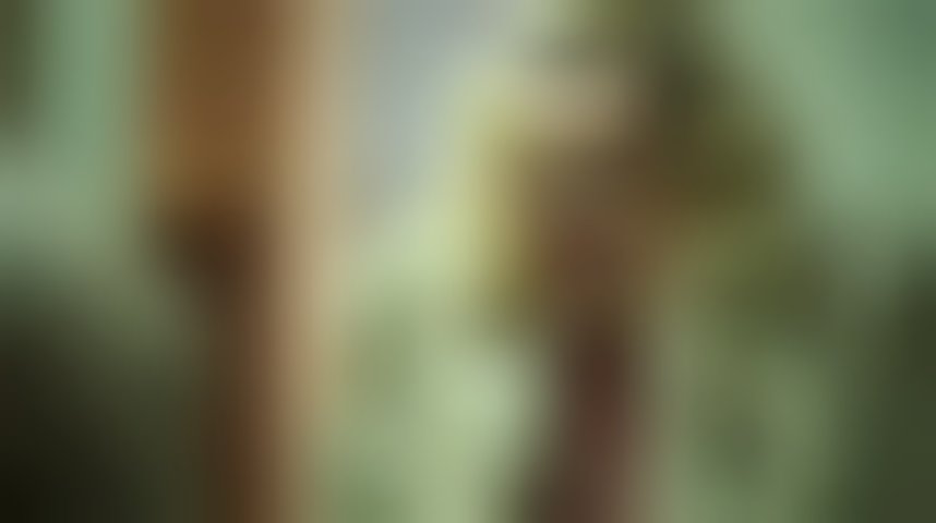 Patti Cake$ - Bande annonce 7 - VO - (2017)