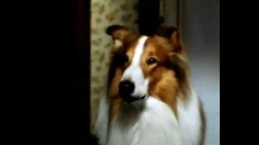 Les Nouvelles aventures de Lassie - bande annonce - VO - (1994)