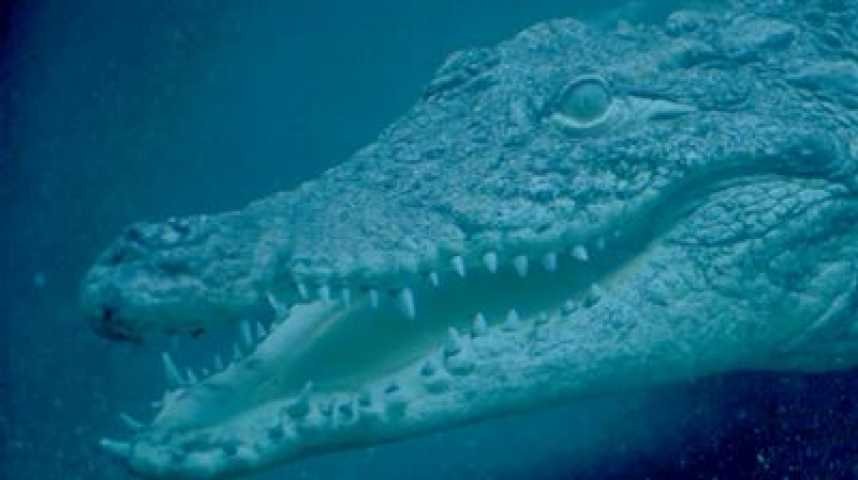 Crocodile - bande annonce - (2014)