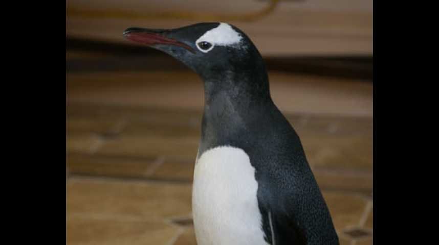 M. Popper et ses pingouins - Extrait 13 - VF - (2011)
