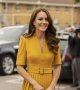 Kate Middleton maman de Louis, 4 ans : la duchesse submergée par la nostalgie