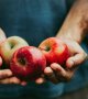 Manger une pomme chaque jour améliore-t-il vraiment votre santé ?