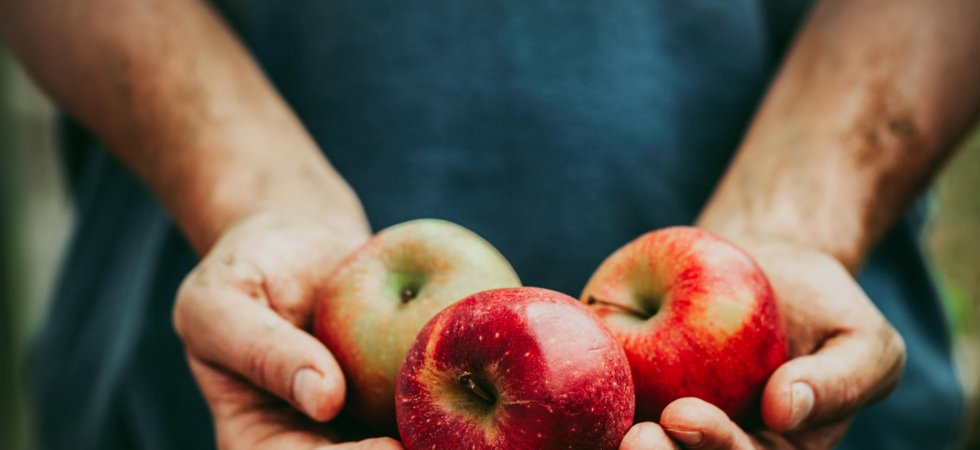 Manger une pomme chaque jour améliore-t-il vraiment votre santé ?