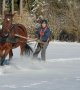 Zoom sur le ski joering, iconique activité hivernale qui allie ski et cheval