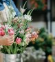 Provenance des fleurs : pourquoi y prêter plus attention ?