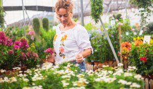 10 conseils pour jardiner sans engrais chimiques