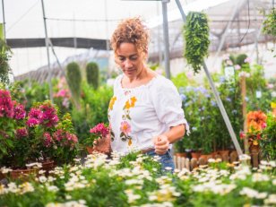 10 conseils pour jardiner sans engrais chimiques