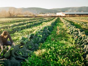 10 choses à savoir sur l'agriculture biologique