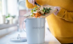 Compost : comment s'y mettre en appartement ?
