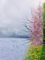 Automne, hiver, printemps, été : 5 choses à savoir sur les saisons