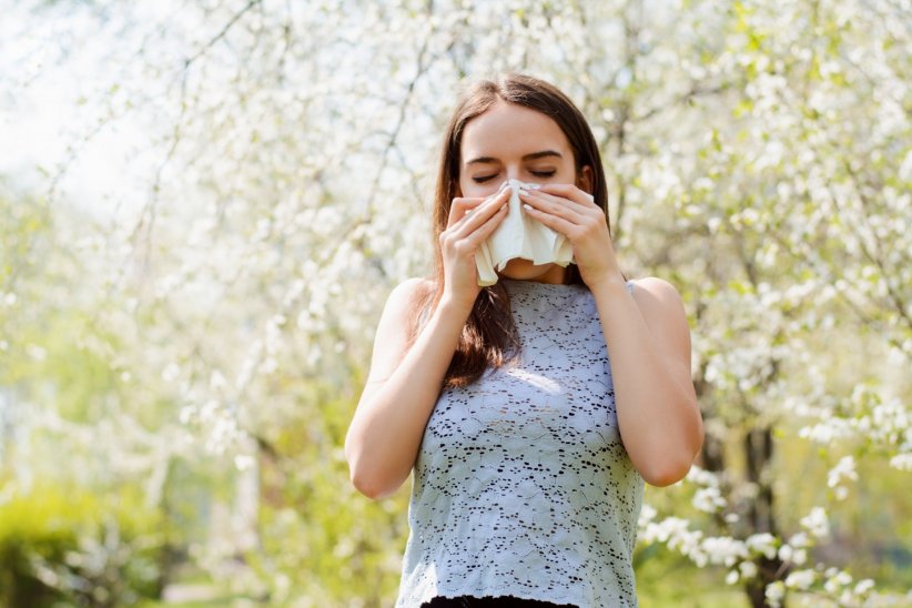 L'allergie aux pollens