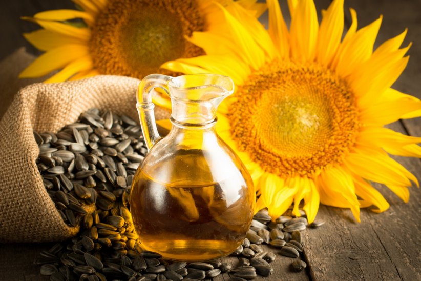 L'huile de tournesol : un aliment à l'action antioxydante