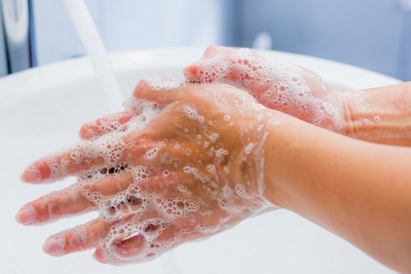 Penser à se laver les mains régulièrement